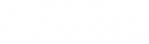 davinci-design-logo-en-white